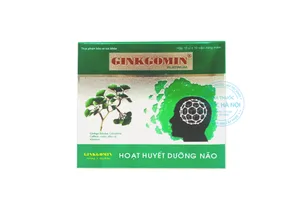 Ginkgomin Platinum hỗ trợ sức khỏe não bộ tăng cường tuần hoàn máu não