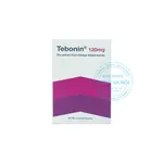 Tebonin 120mg