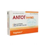 Antot Thymo