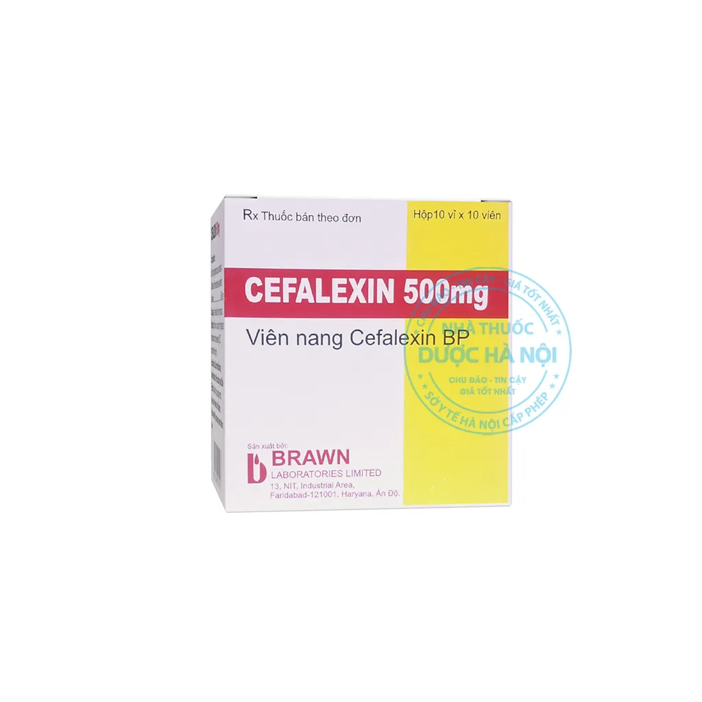 Thuốc kháng sinh Cefalexin 500mg