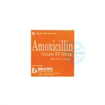 Thuốc Amoxicillin Capsules BP 500mg