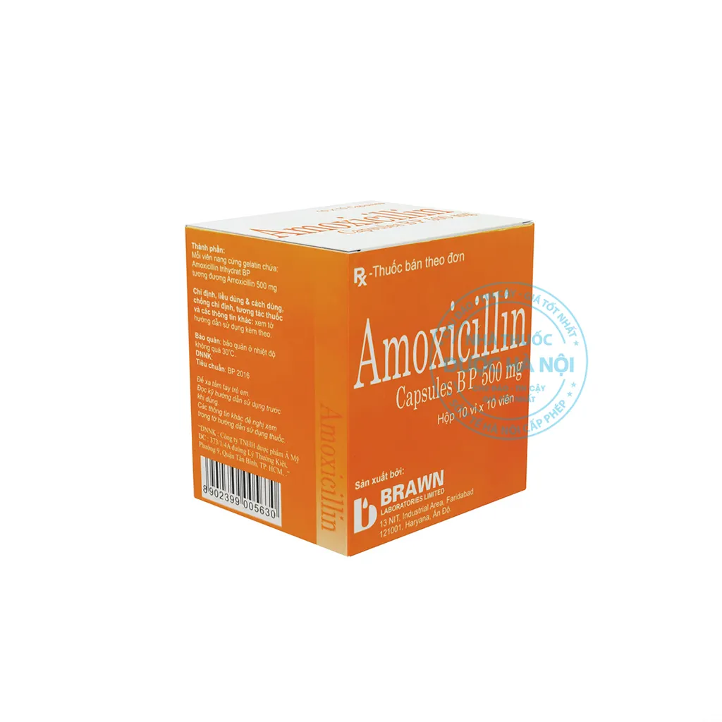 Thuốc Amoxicillin Capsules BP 500mg