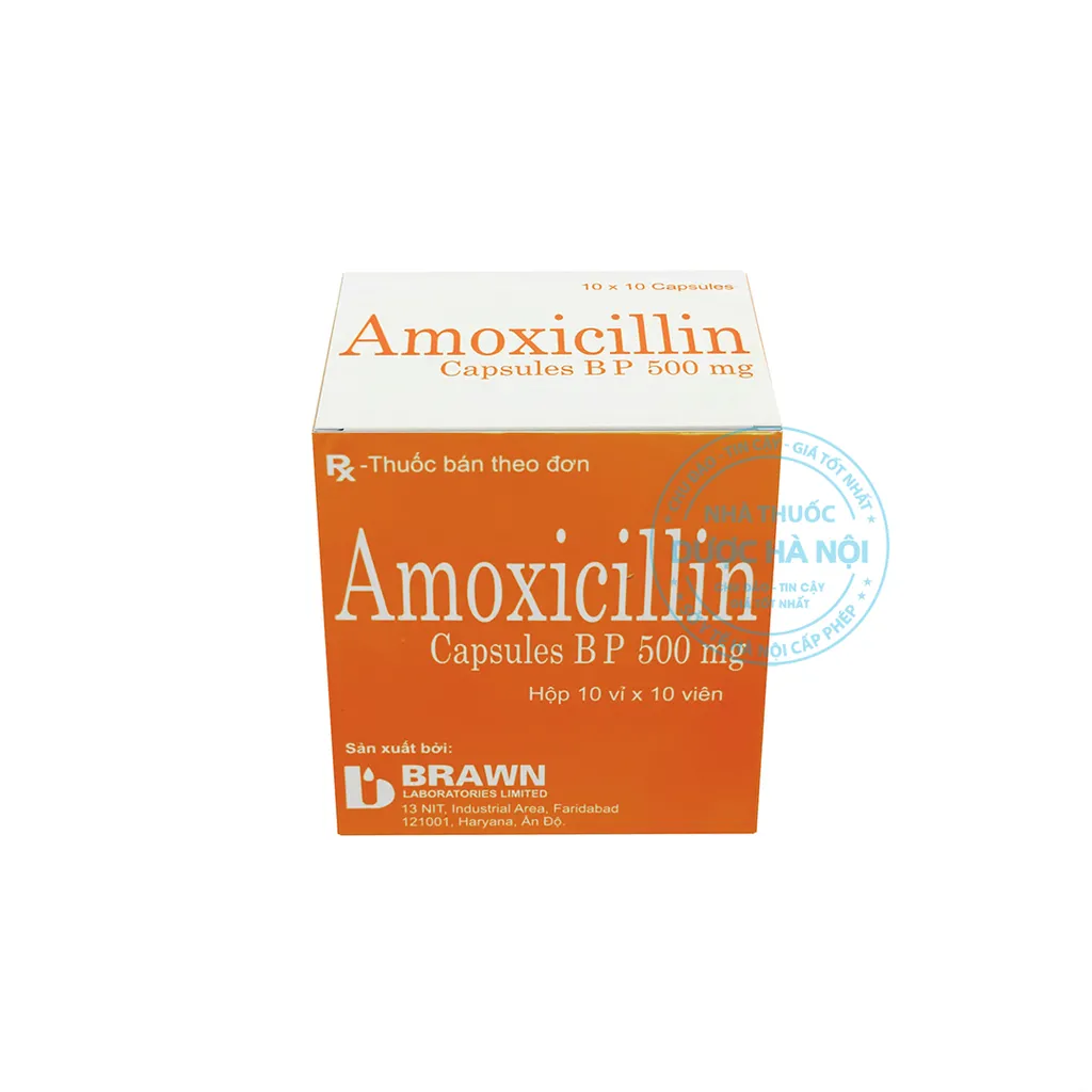 Thuốc Amoxicillin Capsules BP 500mg