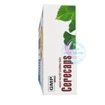 Hoạt huyết Cerecap