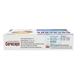 Hoạt huyết Cerecap