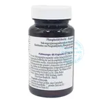 Phosphatidyl Serin Espara