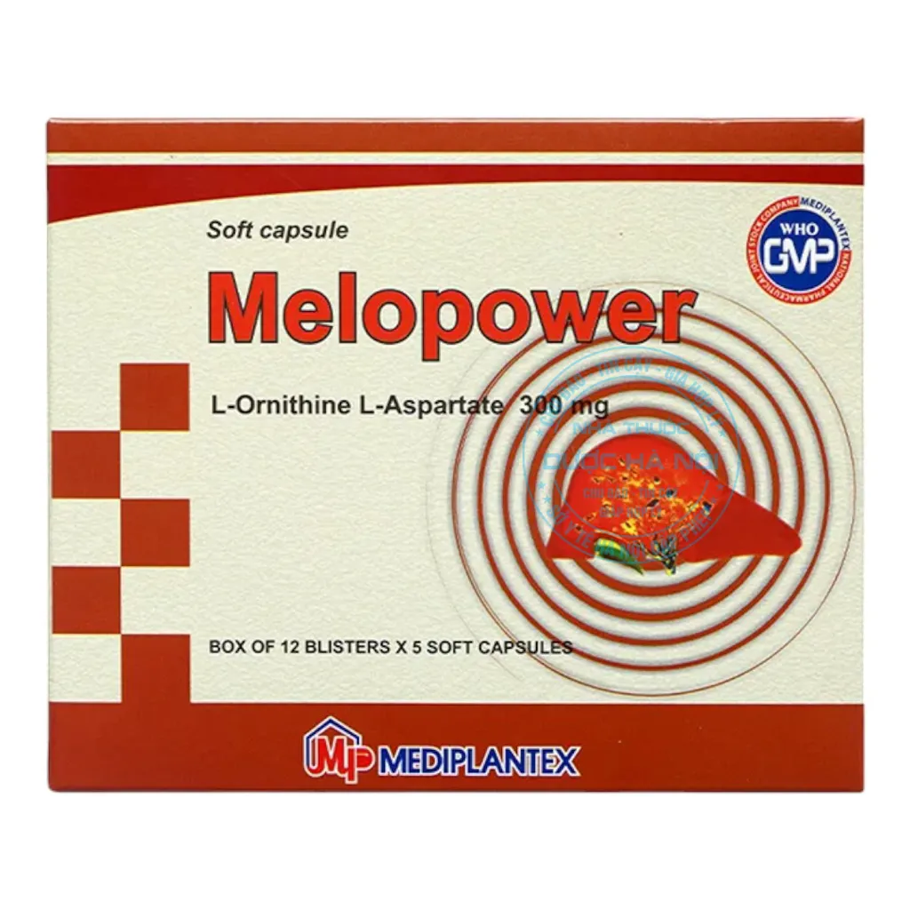 Thuốc Melopower 300mg