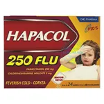 Thuốc cốm Hapacol 250 Flu