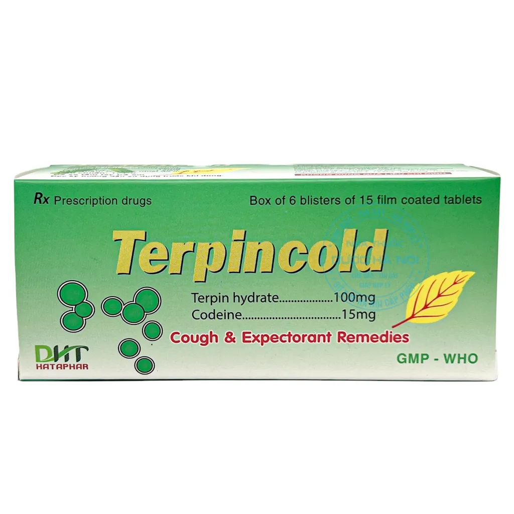 Thuốc Terpincold Hà Tây