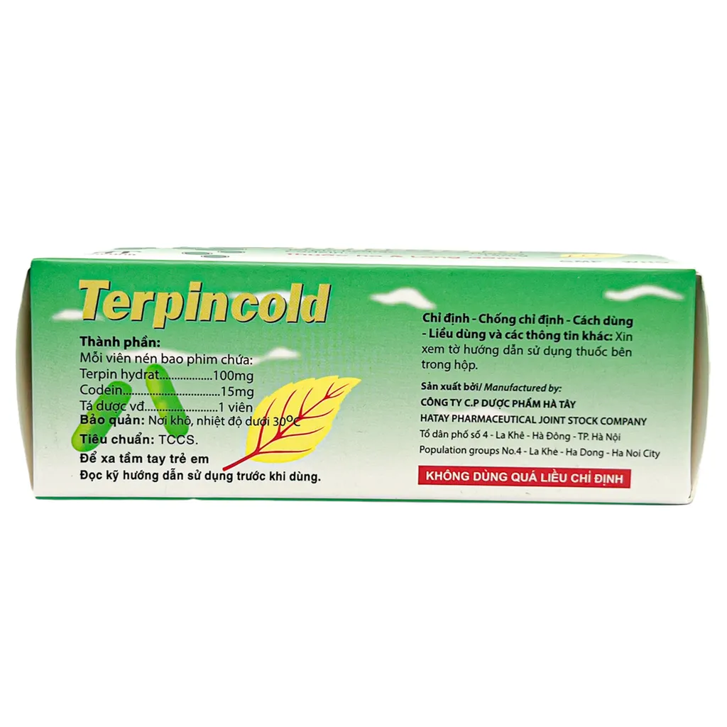 Thuốc Terpincold Hà Tây