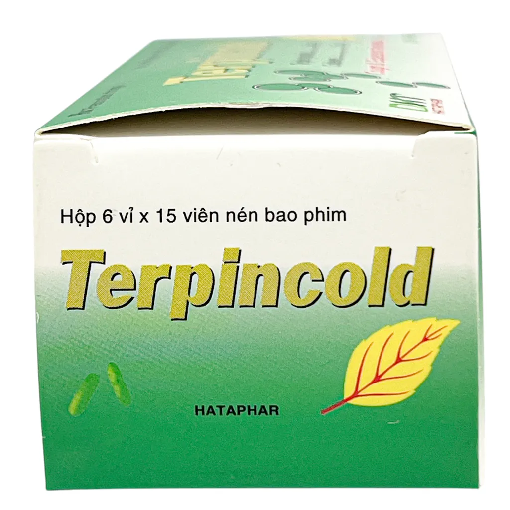 Thuốc Terpincold Hà Tây