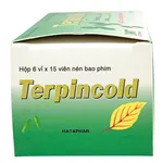 Thuốc Terpincold Hà Tây