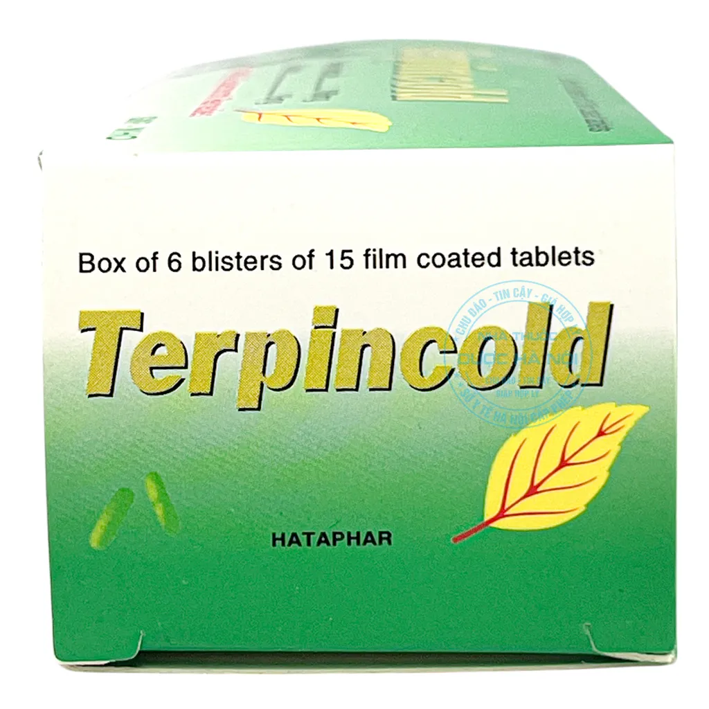 Thuốc Terpincold Hà Tây
