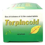 Thuốc Terpincold Hà Tây