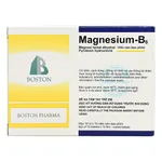 Magne-B6 Boston