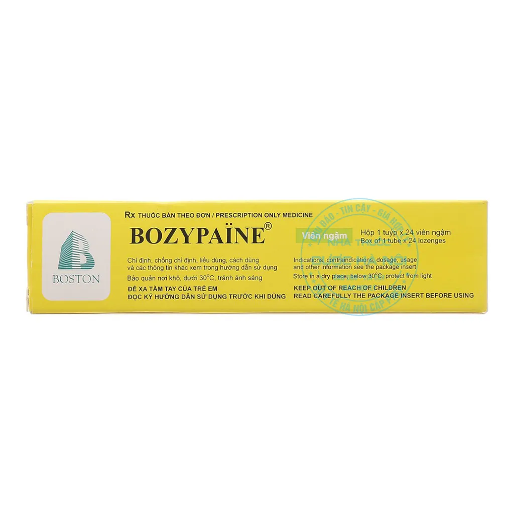 Thuốc Bozypaine Boston