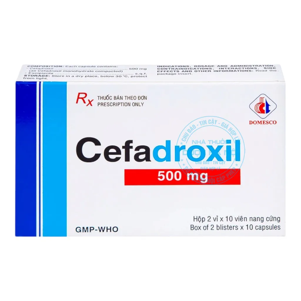 Thuốc Cefadroxil 500mg Domesco