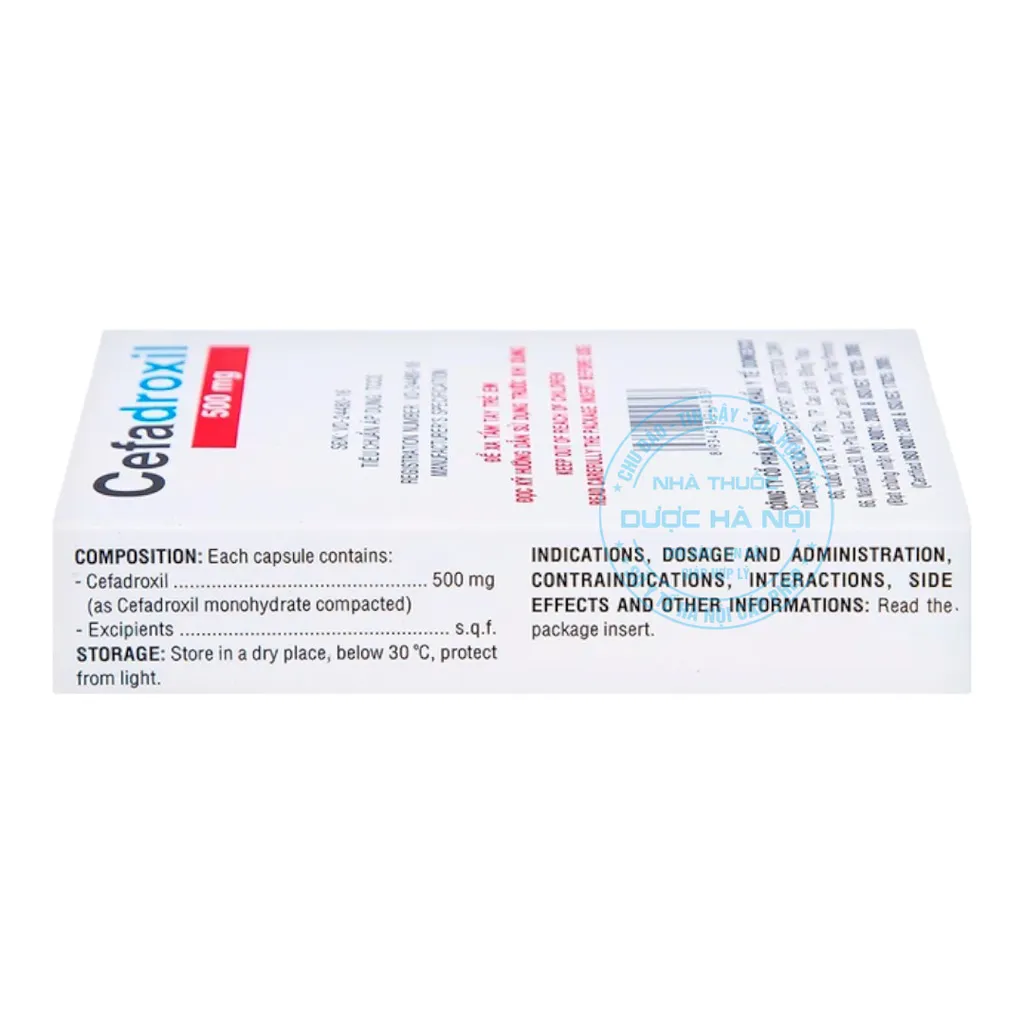 Thuốc Cefadroxil 500mg Domesco