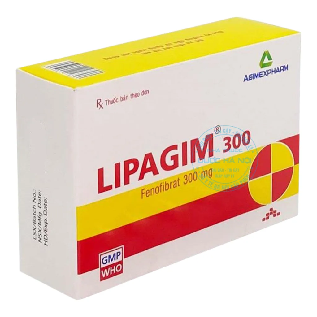 Thuốc Lipagim 300