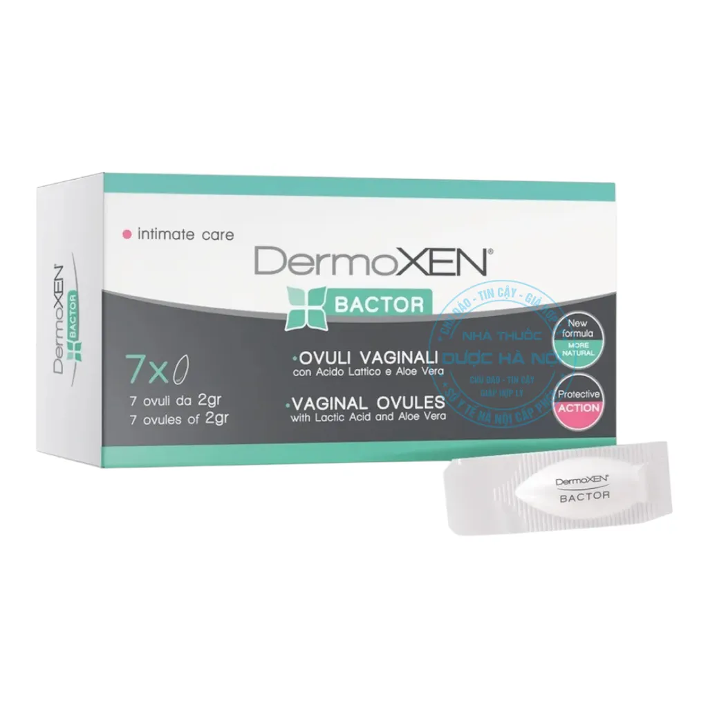 Viên đặt phụ khoa Dermoxen BACTOR