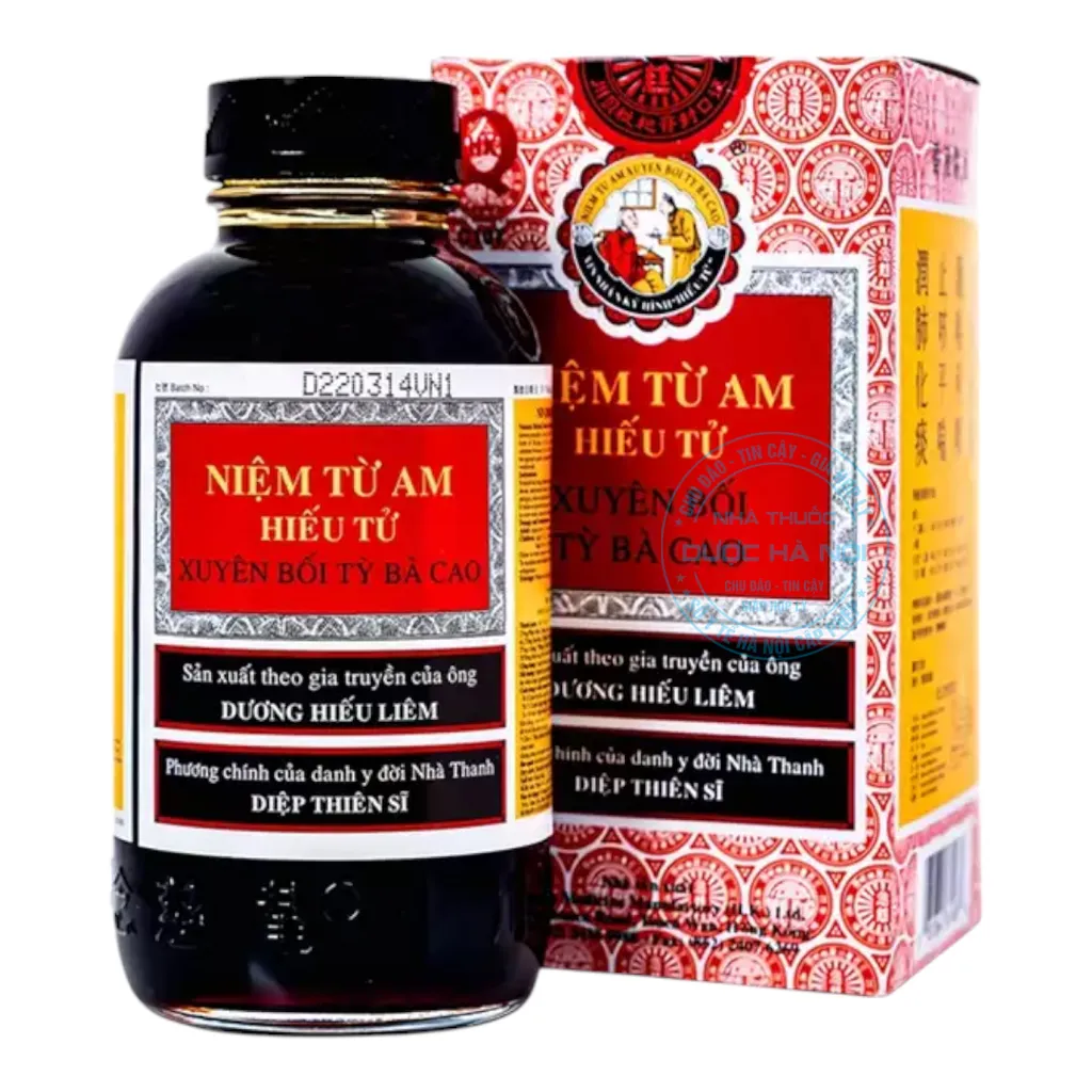 Cao Niệm Từ Am Hiếu Tử