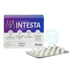 Viên uống Intesta Biolek