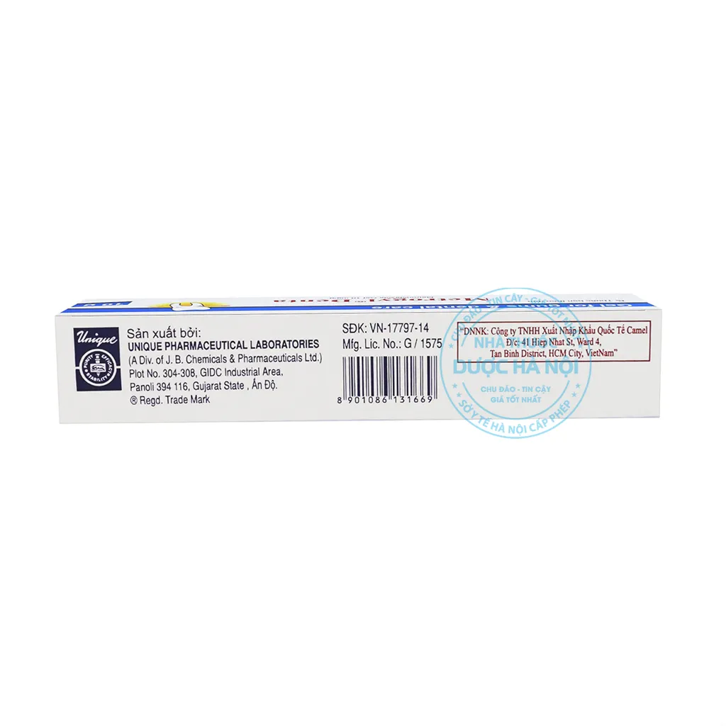 Gel bôi nha khoa Metrogyl Denta