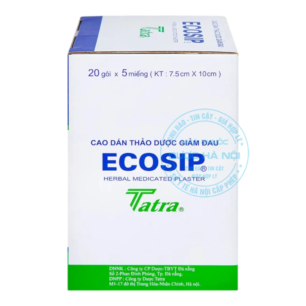 Cao dán thảo dược Ecosip