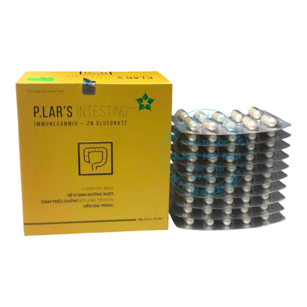 P.LAR'S INTESTINO