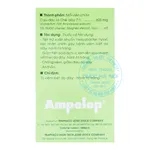 Thuốc Ampelop