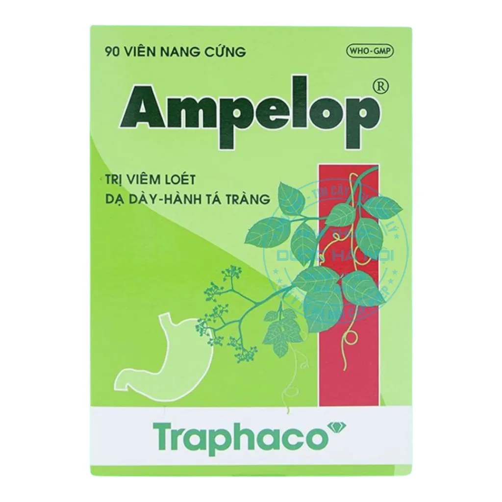 Thuốc Ampelop