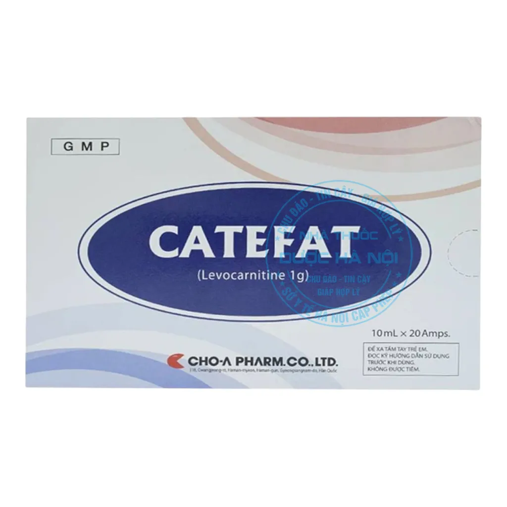 Thuốc Catefat