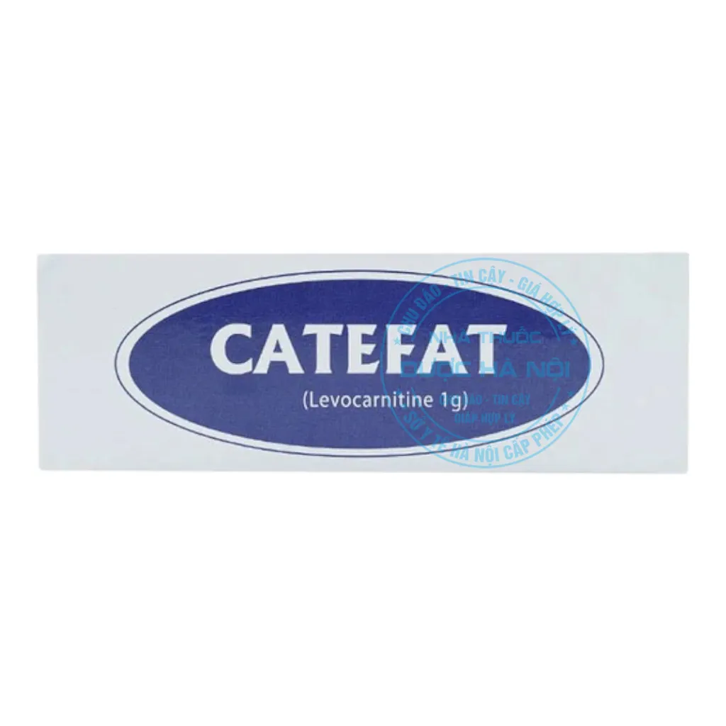 Thuốc Catefat