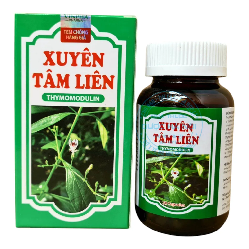 Xuyên tâm liên