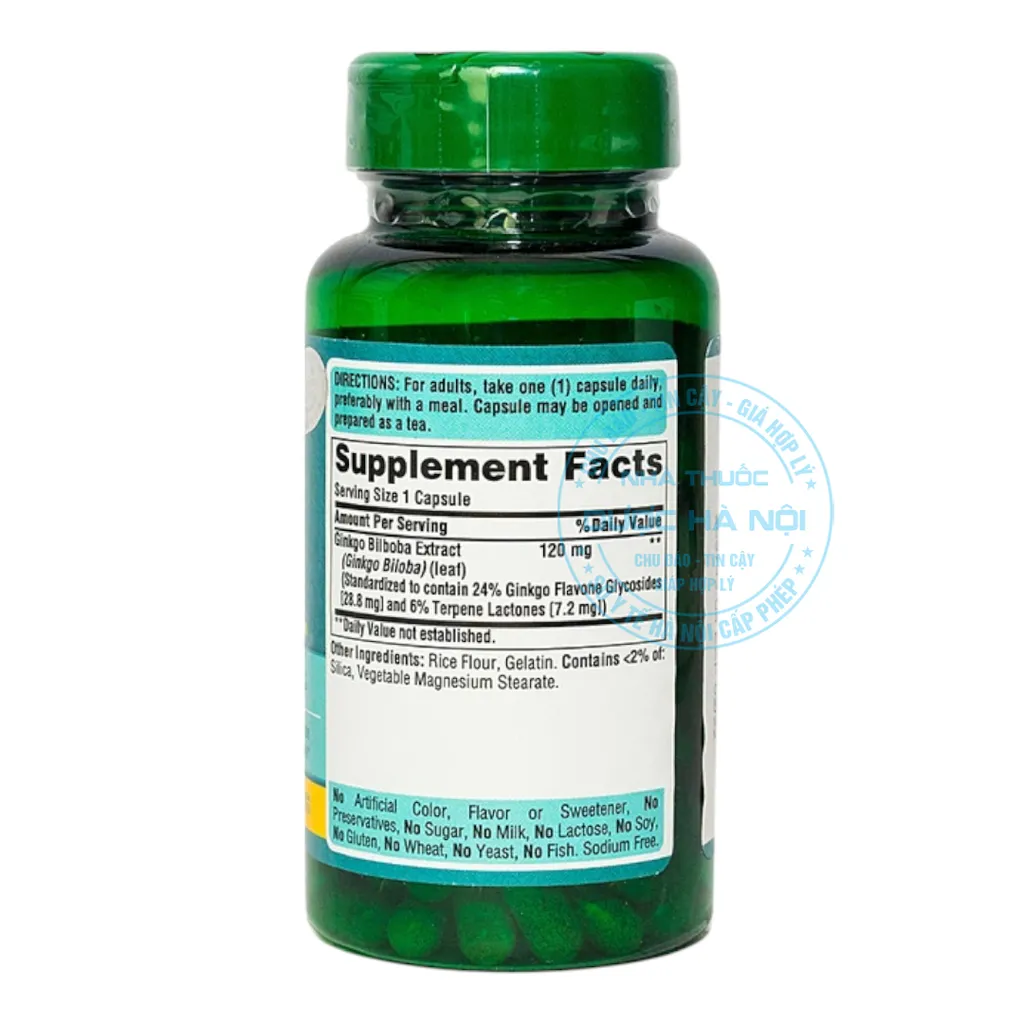 Ginkgo Biloba Standardized Extract 120mg