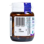 Blackmores Ginkgo Forte