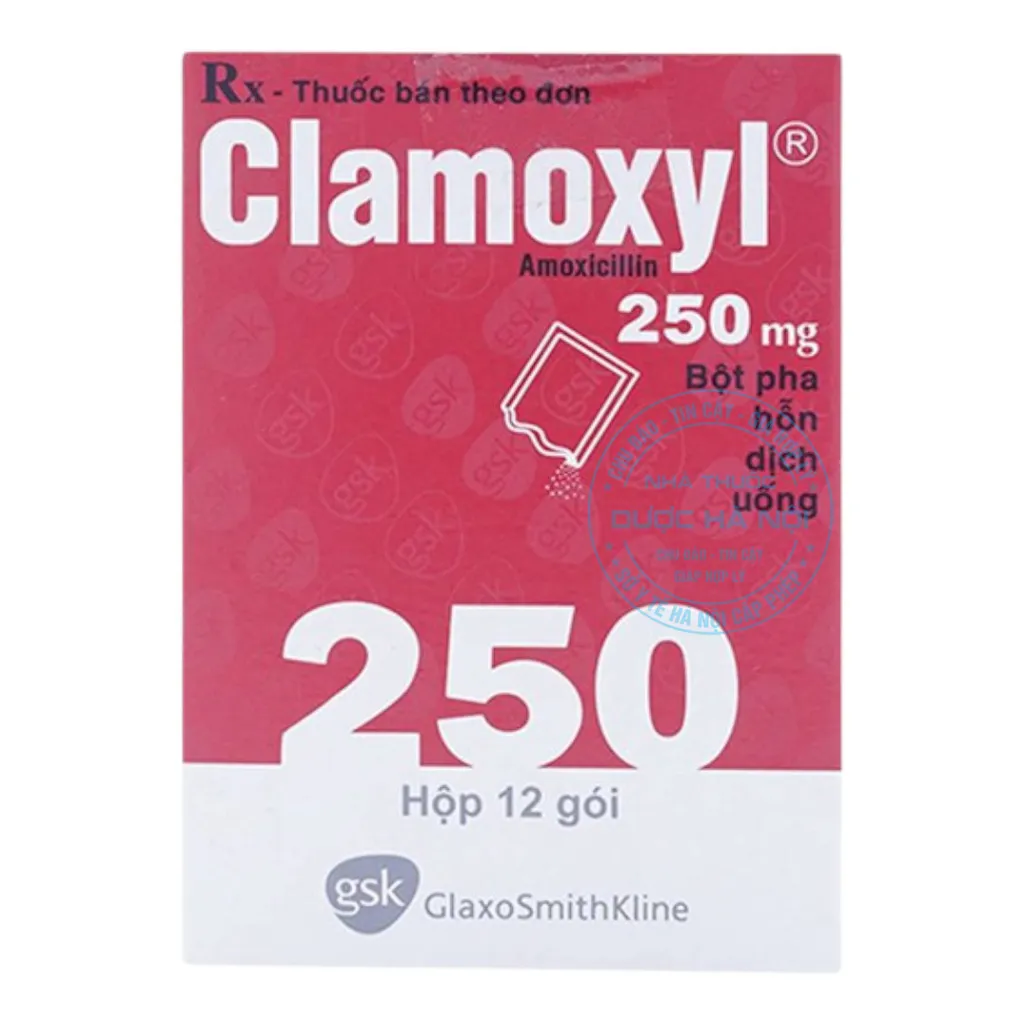 Thuốc Clamoxyl 250mg