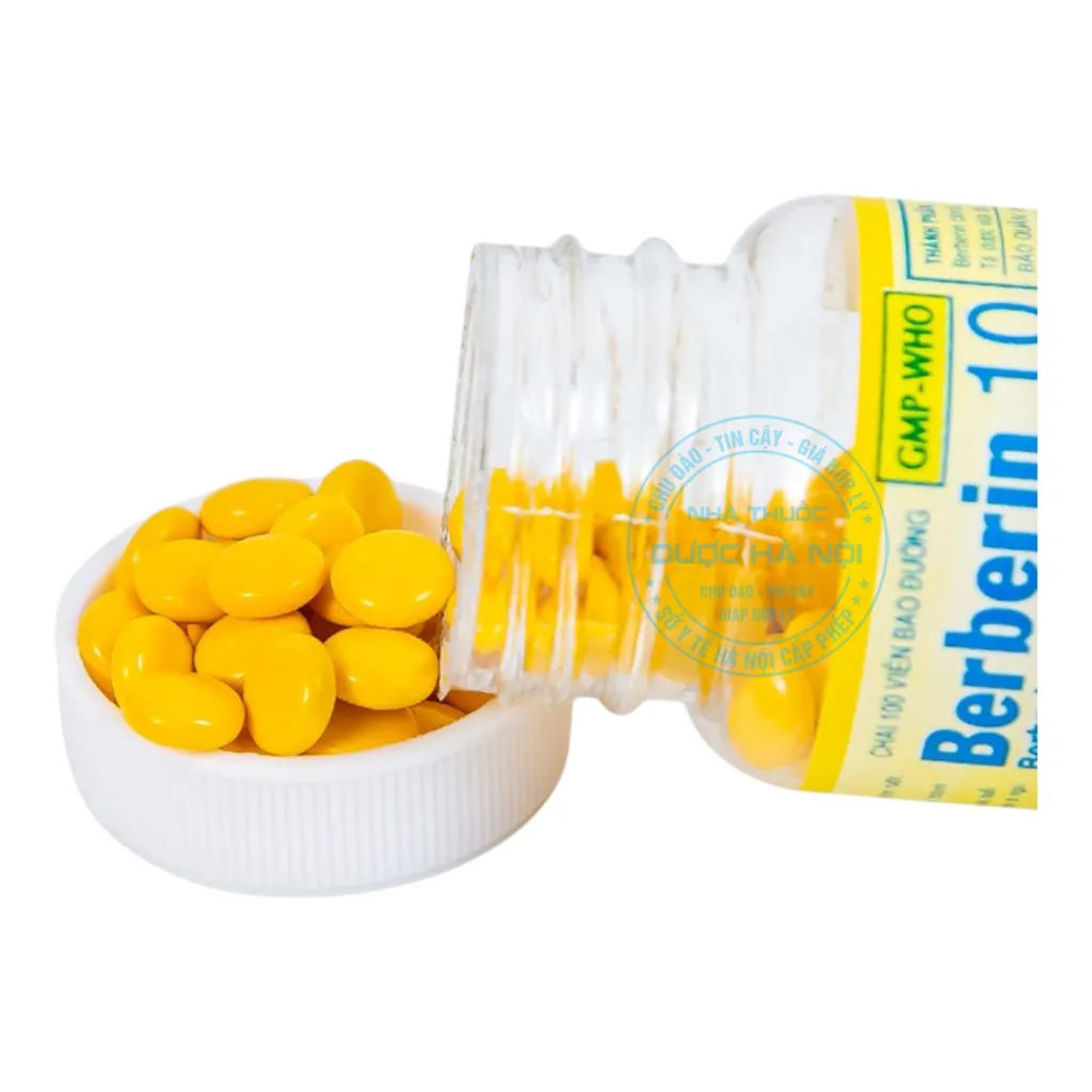 Thuốc Berberin 100v Bao Đường
