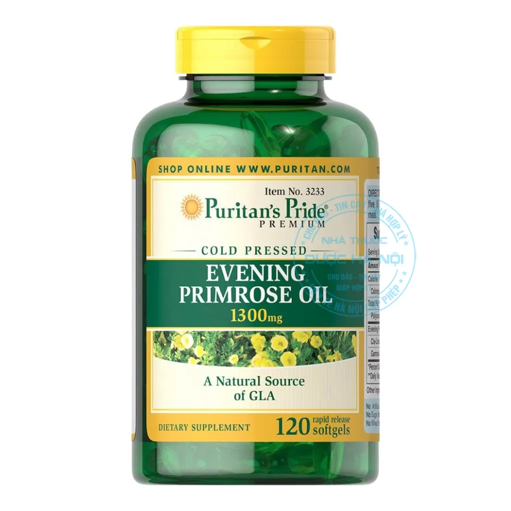 Evening Primrose Hoa Anh Thảo