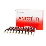 Siro Antot IQ