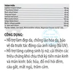 Viên uống sâm Angela Gold