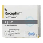 Thuốc Rocephin 1 g i.v.