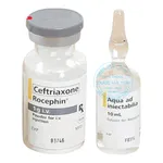 Thuốc Rocephin 1 g i.v.