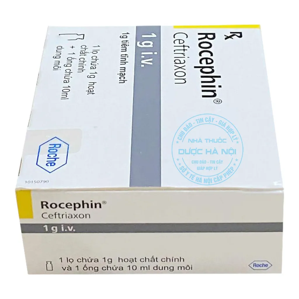 Thuốc Rocephin 1 g i.v.