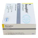 Thuốc Rocephin 1 g i.v.