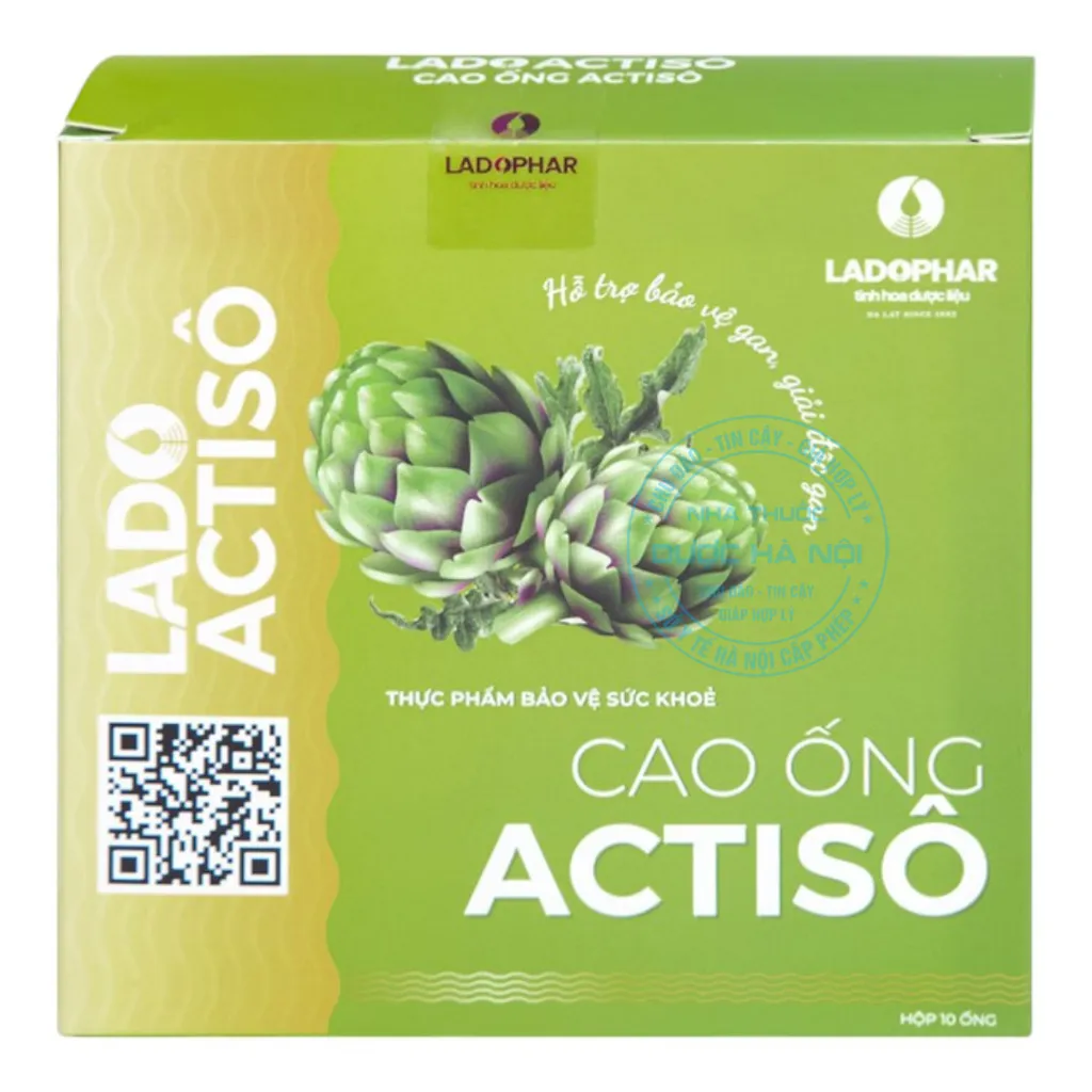 Cao ống Actiso