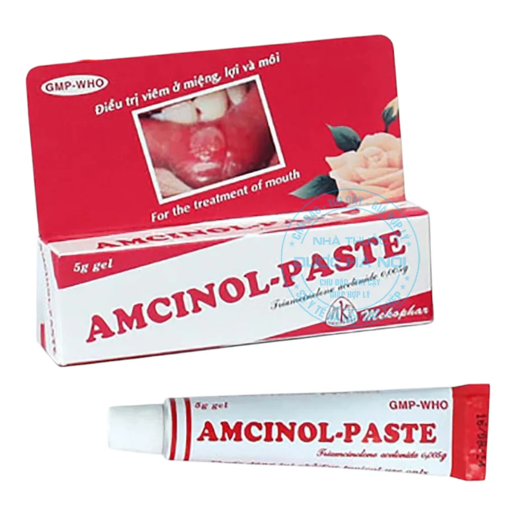 Thuốc Amcinol-Paste