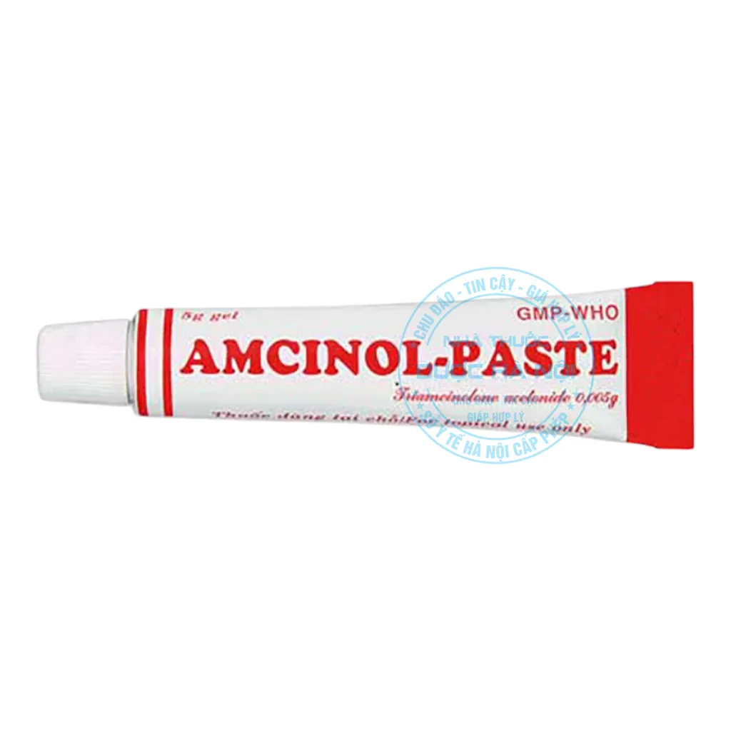 Thuốc Amcinol-Paste