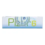 Pizar-6