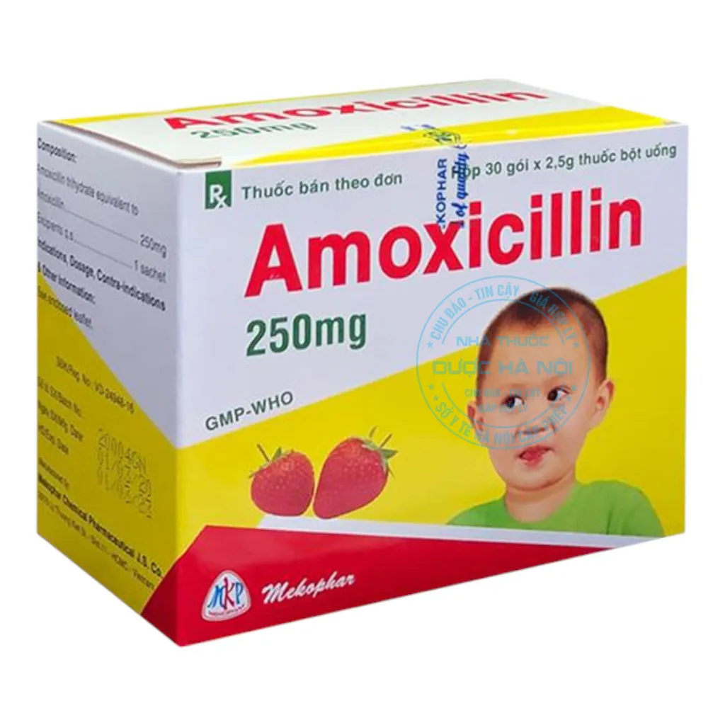 Thuốc Amoxicillin 250mg